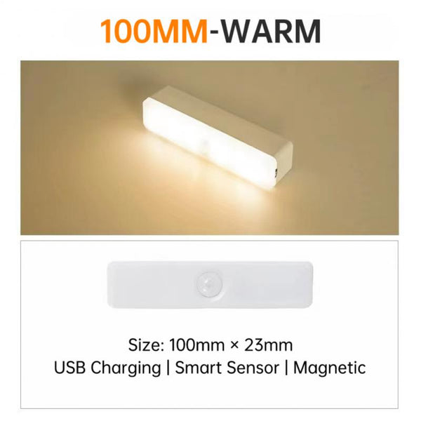 LED Light