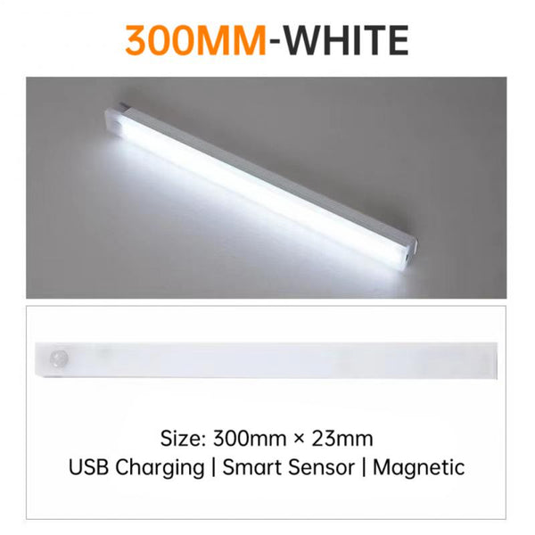 LED Light