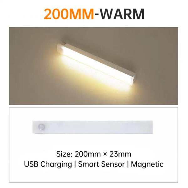 LED Light