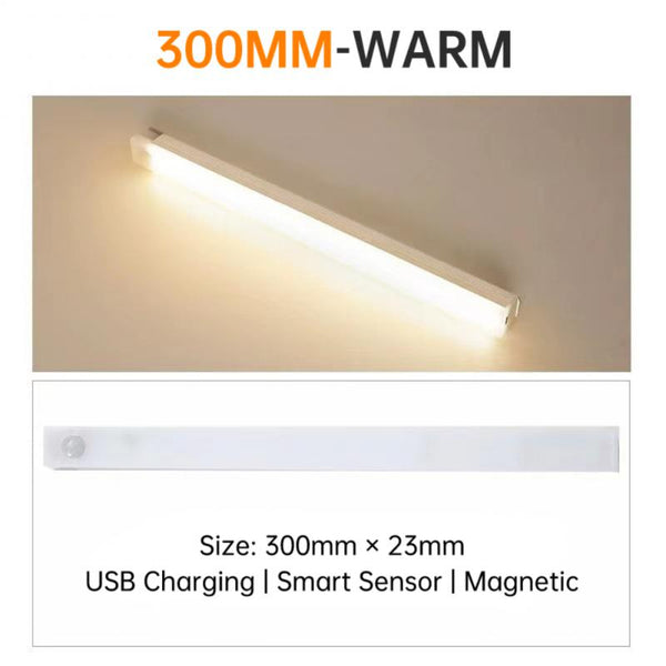 LED Light