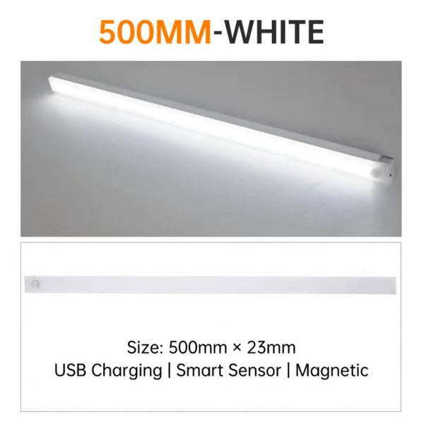 LED Light