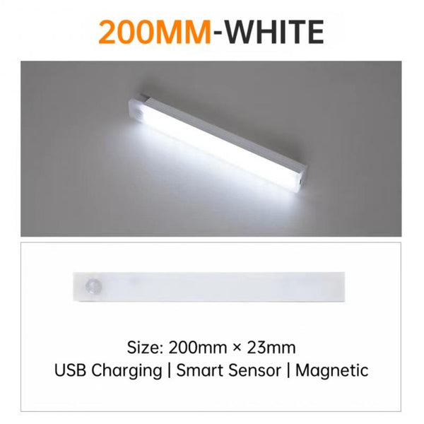 LED Light